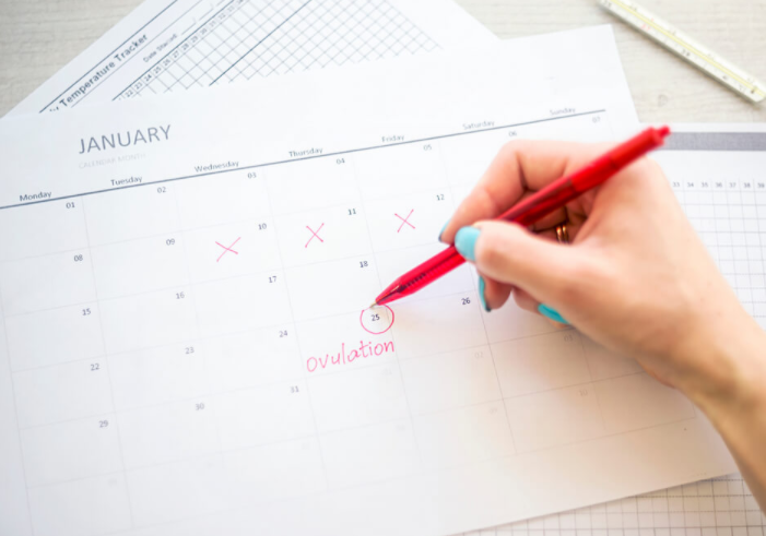 Quan hệ trước ngày rụng trứng có thai không? - 2