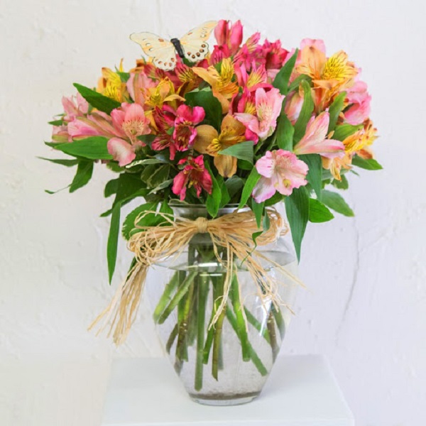 Hoa Thủy Tiên - Hình ảnh, ý nghĩa và cách trồng loài hoa đẹp dịu dàng - 6
