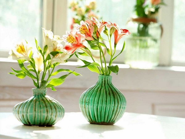 Hoa Thủy Tiên - Hình ảnh, ý nghĩa và cách trồng loài hoa đẹp dịu dàng - 5