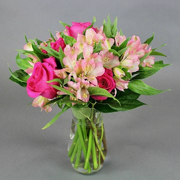 Hoa Thủy Tiên - Hình ảnh, ý nghĩa và cách trồng loài hoa đẹp dịu dàng - 8