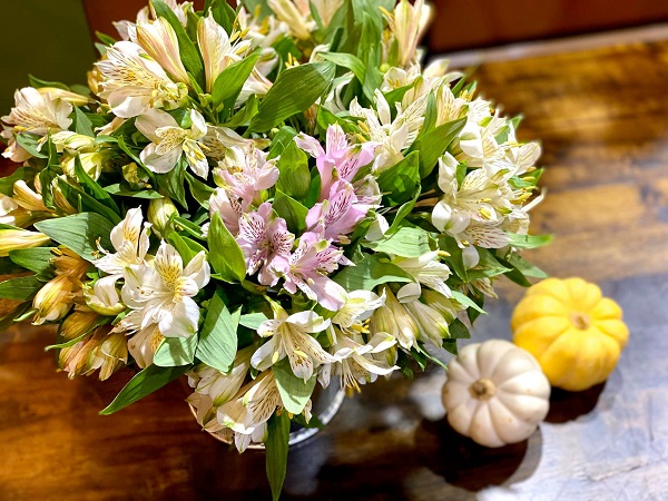 Hoa Thủy Tiên - Hình ảnh, ý nghĩa và cách trồng loài hoa đẹp dịu dàng - 7