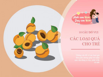 Top 10 câu đố vui các loại quả cho trẻ mầm non vận động tư duy, phát triển trí não