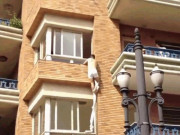 Clip Eva - Clip: Bị bắt quả tang ngoại tình, kẻ thứ 3 vừa tẩu thoát vừa "tấu hài"