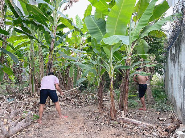 Lê Dương Bảo Lâm, Mạc Văn Khoa xuất phát tay trắng giờ nhà tiền tỷ, vợ đẹp con ngoan - 16