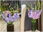 Tiêu dùng - Loại hoa dơn nhập khẩu màu độc-lạ đang "gây bão", giá đắt các chị em vẫn lùng mua khắp nơi