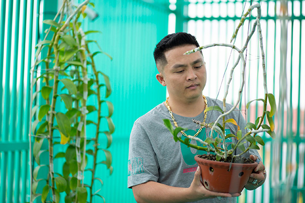 Ông chủ Lê Đăng Khoa chia sẻ bí quyết kích, ươm kie trên thân lan phi điệp nhanh, hiệu quả - 2