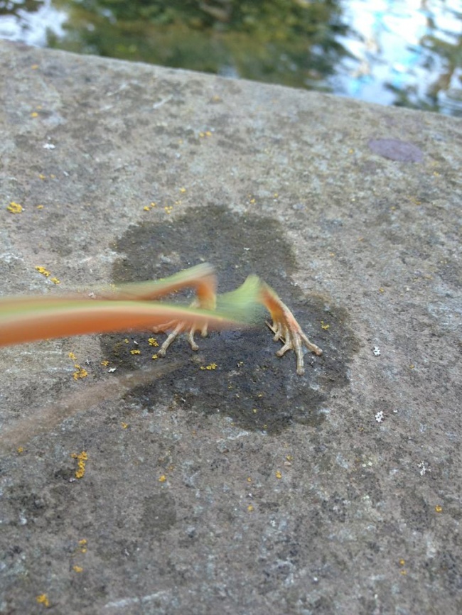 16 bức ảnh siêu độc đáo nhờ bắt được khoảnh khắc “đúng người – đúng lúc” - 10