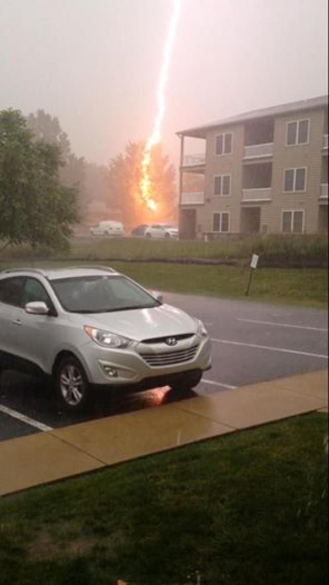 16 bức ảnh siêu độc đáo nhờ bắt được khoảnh khắc “đúng người – đúng lúc” - 12