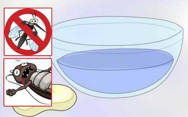 Trời nồm ẩm muỗi càng nhiều, đặt một bát nước trong phòng, muỗi sẽ không còn cơ hội “amp;#39;vo ve” - 4
