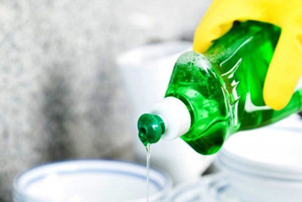 Trời nồm ẩm muỗi càng nhiều, đặt một bát nước trong phòng, muỗi sẽ không còn cơ hội “amp;#39;vo ve” - 1