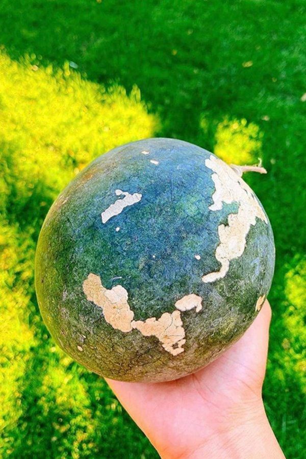 Phạm Hương, Kim Hiền lấy chồng, nuôi con trên đất Mỹ: Cùng ở nơi rộng rãi, thích thú làm vườn - 9