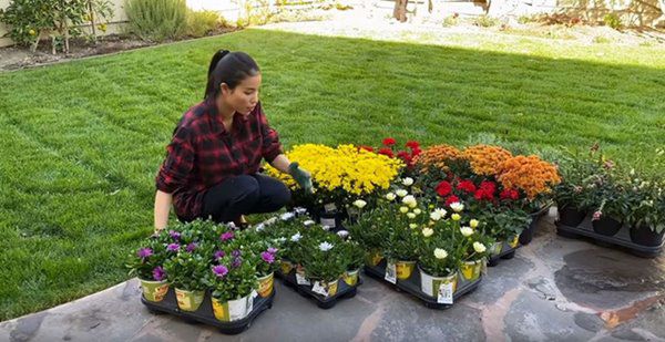 Phạm Hương, Kim Hiền lấy chồng, nuôi con trên đất Mỹ: Cùng ở nơi rộng rãi, thích thú làm vườn - 13