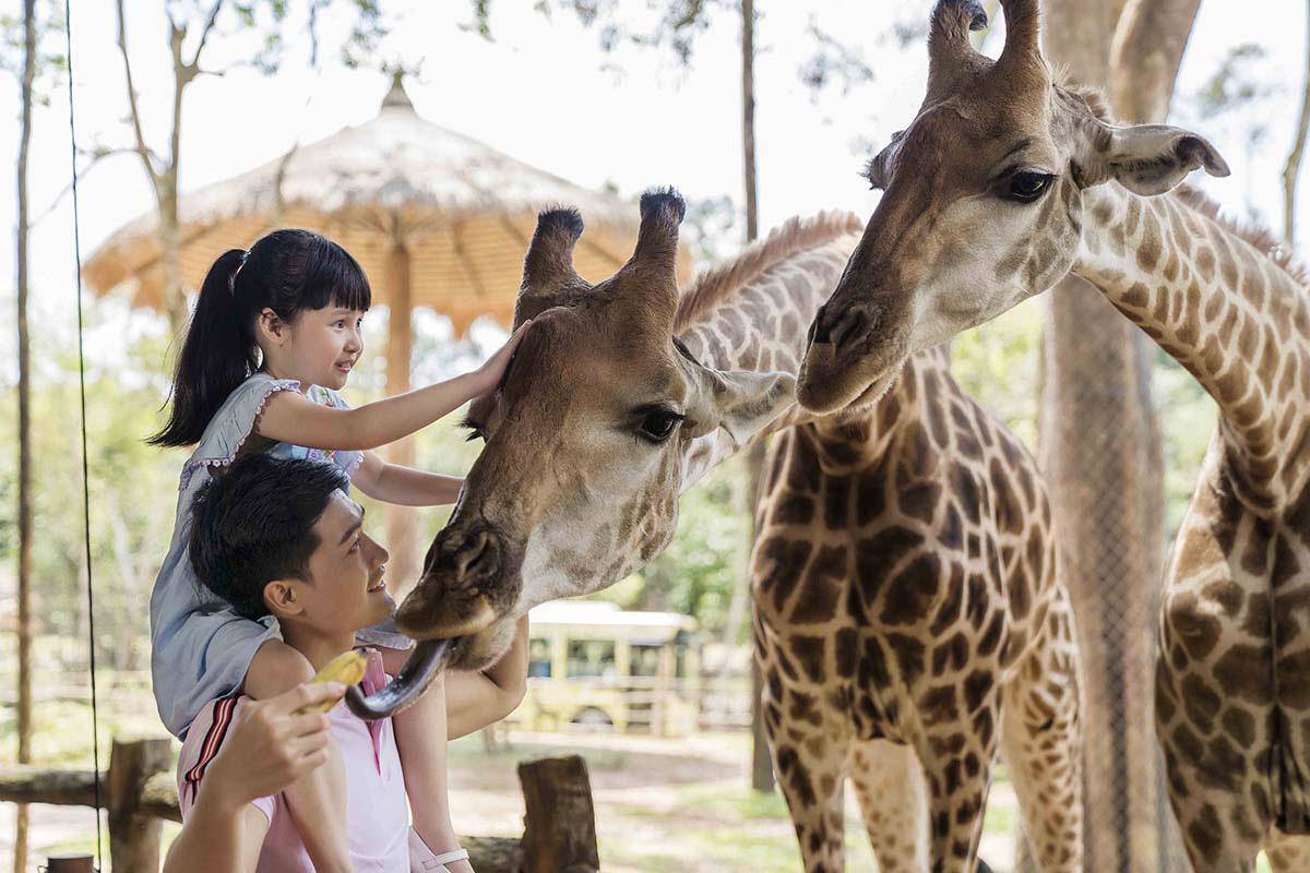 Tour du lịch Phú Quốc, Côn Đảo, Nha Trang “nóng” theo từng giờ - 1