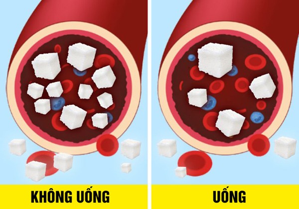 Đây là loại trà tốt và chứa chất bổ mà trà xanh không có - 5