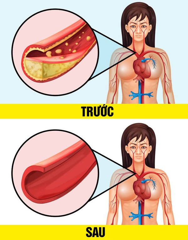 Đây là loại trà tốt và chứa chất bổ mà trà xanh không có - 3