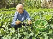 Sức khỏe - Nội tạng của cụ bà 102 tuổi tốt không kém người 30 tuổi, chủ yếu nhờ món ăn này