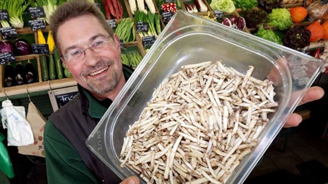 Giá hàng chục đến hàng trăm triệu một kg, không ngờ những thứ này từng mọc dại ở bờ bụi - 3