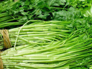 Sức khỏe - Rau cần đang ngon rẻ nhưng nếu thuộc 1 trong 3 nhóm người sau đây nhất định không nên ăn