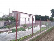 Tin tức - Vụ chồng sát hại vợ, con gái 7 tuổi: Trước thảm kịch vẫn cùng vợ con đi mua hoa 8/3