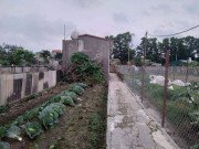 Tin tức - Vụ chồng sát hại vợ và con gái 7 tuổi: Nạn nhân là nữ giảng viên đại học