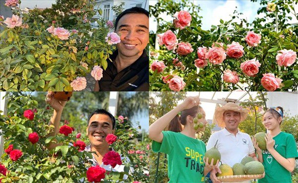 Ốc Thanh Vân, Dương Mỹ Linh và sao Việt thích trồng hoa hồng đắt giá, thơm nức vườn - 10
