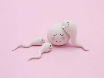 Tinh trùng sống được bao lâu sau khi xuất tinh?