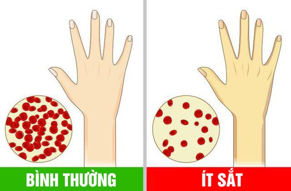 Ăn ớt chuông mỗi ngày thu về 8 lợi ích, nhưng ăn sống hay ăn chín tốt hơn? - 1
