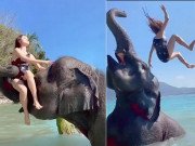 Clip Eva - Gái xinh chụp ảnh "sống ảo" cùng voi nhận cái kết tê tái