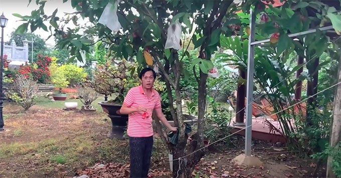 Ngắm vườn cây tại nhà thờ Tổ 100 tỷ của Hoài Linh, có cây trả 7 tỷ không bán - 7