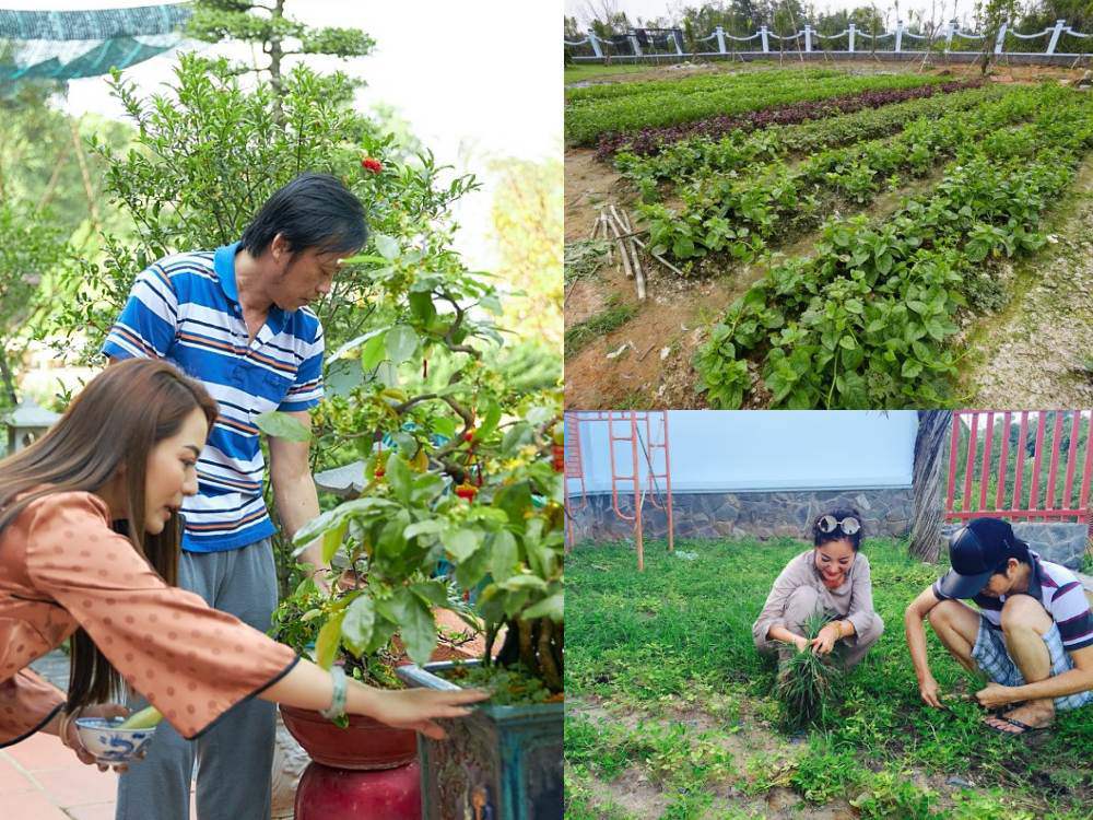 Ngắm vườn cây tại nhà thờ Tổ 100 tỷ của Hoài Linh, có cây trả 7 tỷ không bán - 10