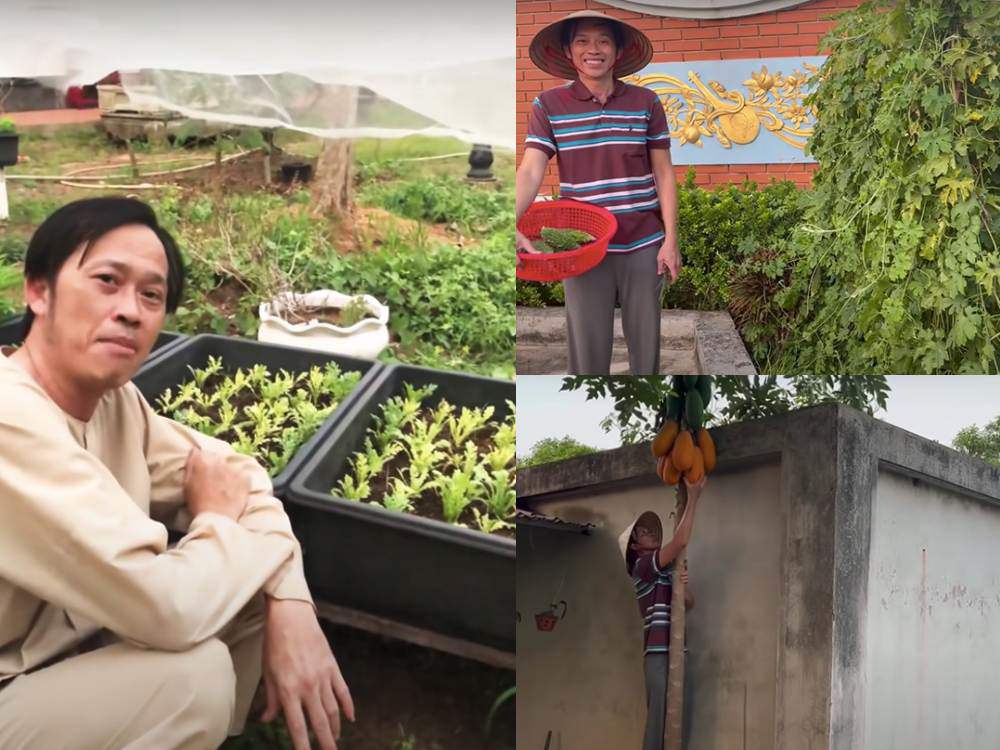 Ngắm vườn cây tại nhà thờ Tổ 100 tỷ của Hoài Linh, có cây trả 7 tỷ không bán - 11