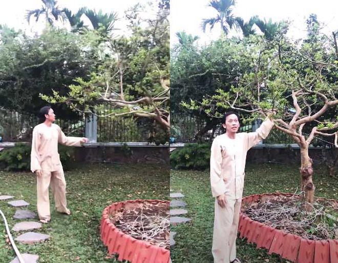 Ngắm vườn cây tại nhà thờ Tổ 100 tỷ của Hoài Linh, có cây trả 7 tỷ không bán - 8