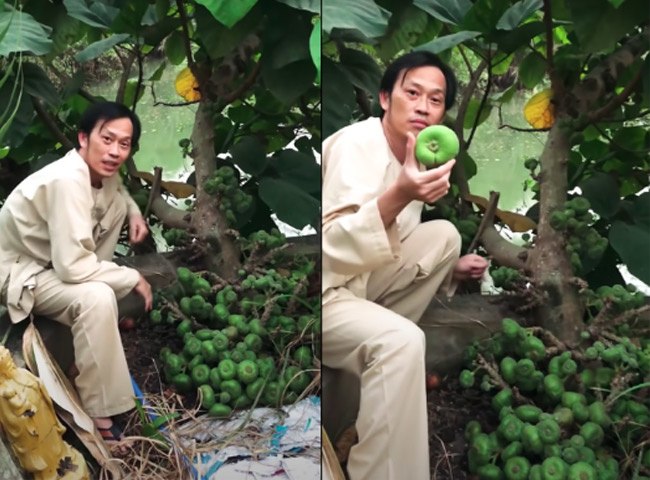 Ngắm vườn cây tại nhà thờ Tổ 100 tỷ của Hoài Linh, có cây trả 7 tỷ không bán - 6