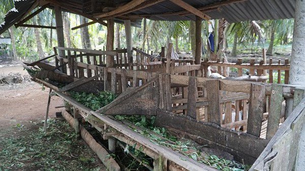 Trường Giang, Nhã Phương và những sao Việt nổi tiếng giàu có, bố mẹ ở quê sống nơi giản dị - 11