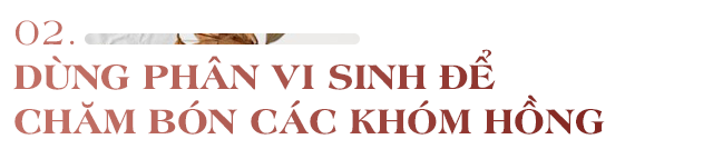 Mẹ Vũng Tàu dựng nhà gỗ 15m2 làm chốn lui về, trồng 50 khóm hồng bao quanh như thiên đường - 12