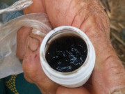 Tin tức - Tin tức 24h: Bí ẩn lọ thuốc màu đen, dẻo và có mùi hôi của "thần y" Võ Hoàng Yên