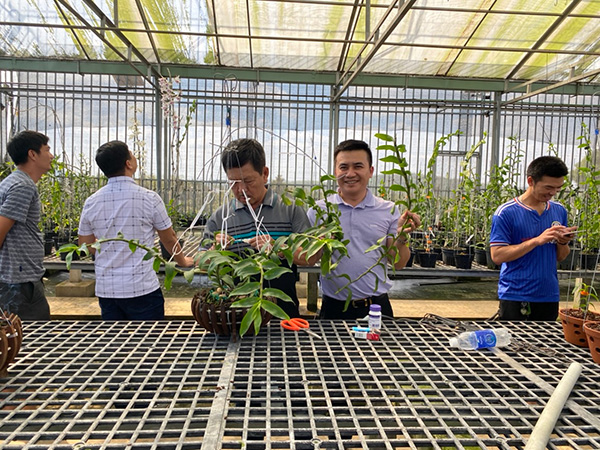 Nghệ nhân Phạm Hữu Hùng cùng phương pháp trồng lan đạt hiệu quả cao - 2