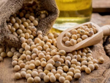 Không chỉ cá, 6 thực phẩm này cũng giàu omega-3 đáng kinh ngạc, có loại chợ Việt không thiếu