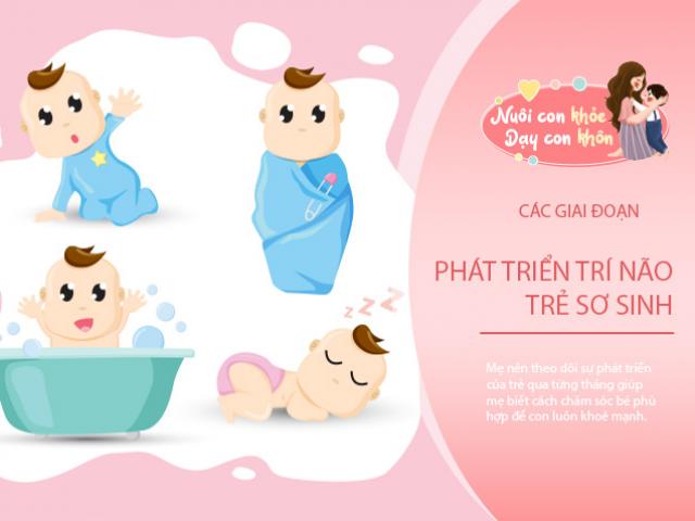 Mốc phát triển trí thông minh của trẻ sơ sinh từ 0-12 tháng, mẹ xem bé có đạt chuẩn?