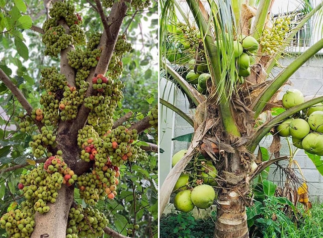 Làm mẹ đơn thân, người đẹp Tây Đô ở biệt thự 2500m2, giấu con chuyện mình là người nổi tiếng - 9