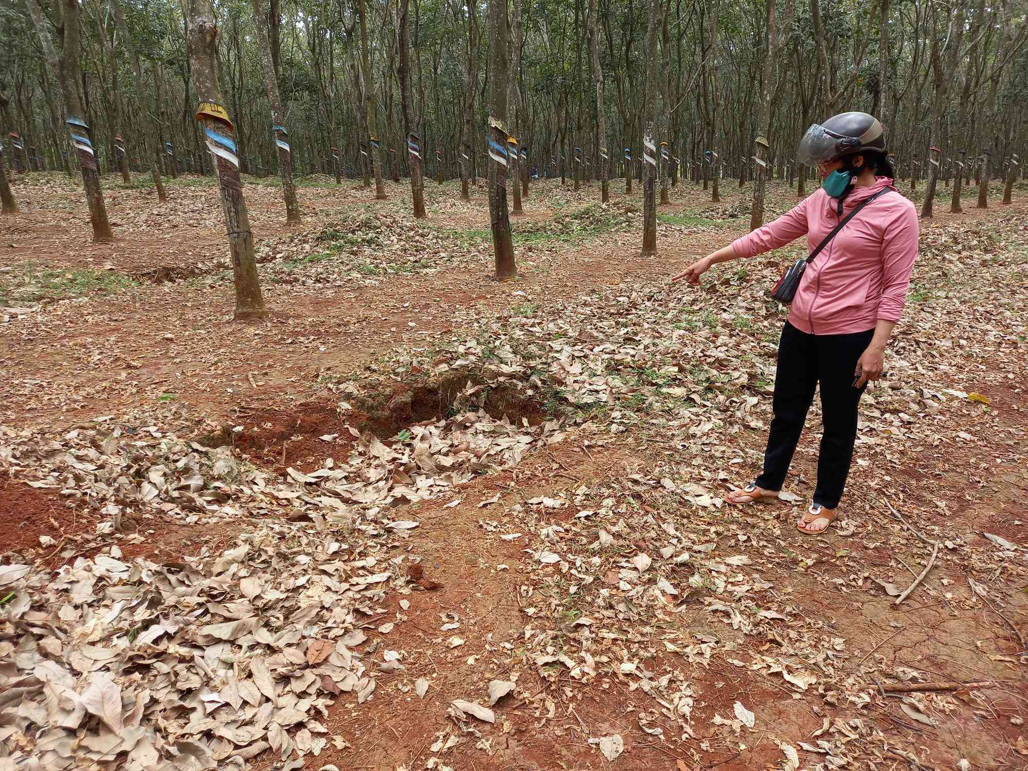 Lời kể của nữ sinh lớp 6 bị đánh dã man trong lô cao su - 3