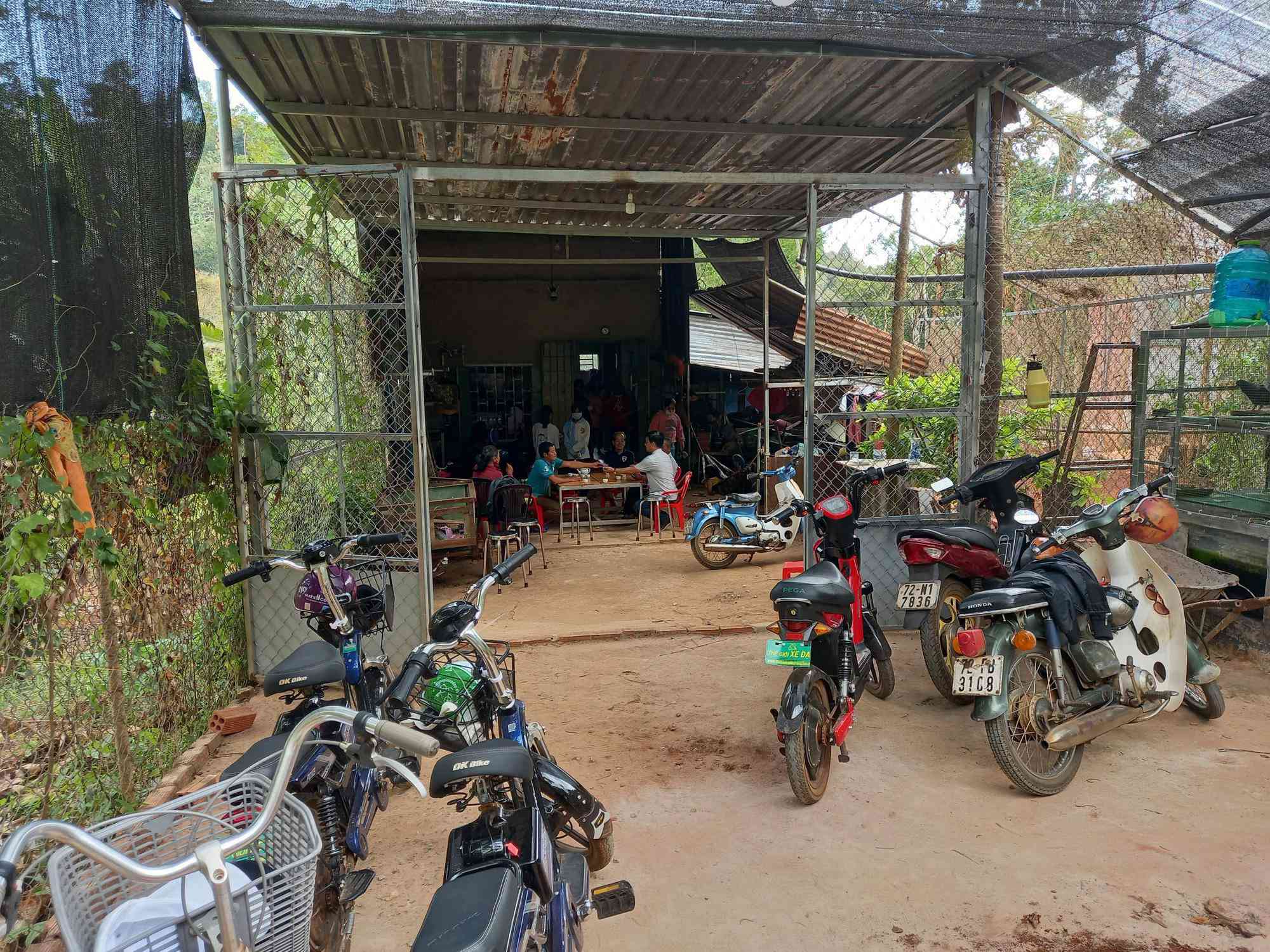 Lời kể của nữ sinh lớp 6 bị đánh dã man trong lô cao su - 4