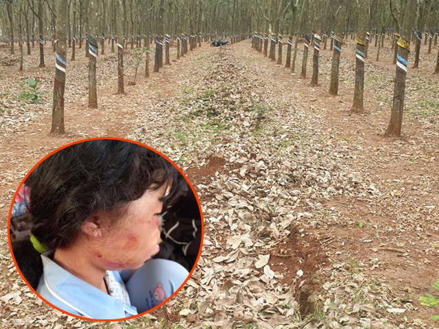 Tin tức 24h: Tiết lộ ban đầu về nghi phạm đánh dã man bé lớp 6 trong lô cao su