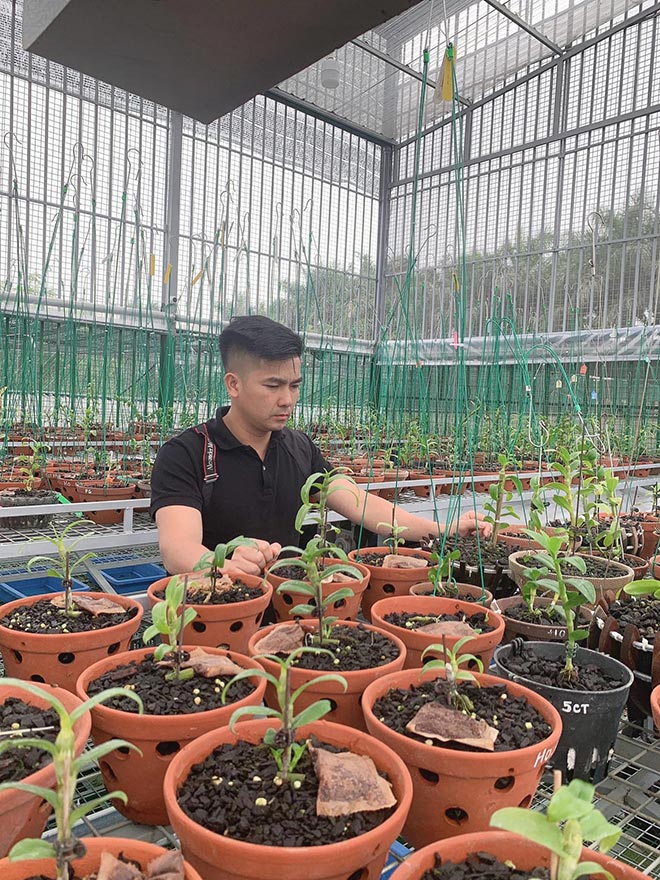 Chàng trai Đức Đại Phát và hành trình chinh phục hoa phong lan - 1