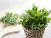 Sức khỏe - Tác dụng phụ của rau ngải cứu, nếu bạn thuộc 1 trong 3 nhóm người này cần từ bỏ ngay