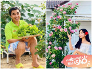 Nhà đẹp - Sở hữu vườn hồng đắt giá, vợ Quyền Linh chỉ cách trồng cây sao cho hoa nở căng, ít bệnh