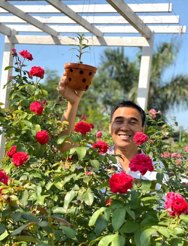 Sở hữu vườn hồng đắt giá, vợ Quyền Linh chỉ cách trồng cây sao cho hoa nở căng, ít bệnh - 1
