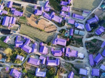 Có gì hấp dẫn ở đảo Banwol - hòn đảo “tím lịm tìm sim” ở phía Nam Hàn Quốc?