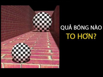 Trăm nghe không bằng một thấy nhưng bạn có chắc những gì mình thấy là đúng?