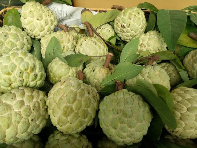 7 đặc sản nổi tiếng Lạng Sơn, món mặn – ngọt và hoa quả đủ cả, không thiếu thứ gì - 7